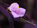 %_tempFileName04-20070701-0376%