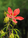 %_tempFileName01-20080816-0243%