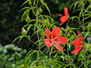 %_tempFileName03-20090725-0430%