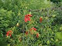 %_tempFileName05-20090802-0101%