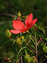 %_tempFileName06-20090830-0104%