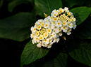 %_tempFileName02-20051127-0217%