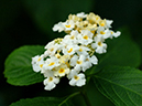 %_tempFileName03-20051127-0218%