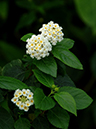 %_tempFileName04-20060218-0545%
