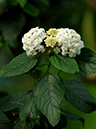 %_tempFileName05-20060218-0546%