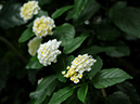 %_tempFileName06-20081124-0208%