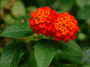 %_tempFileName07-20051127-0220%