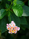 %_tempFileName09-20060225-0435%
