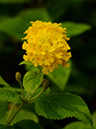 %_tempFileName10-20131019-0051%