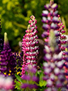 %_tempFileName03-20150505-0240%