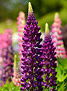 %_tempFileName04-20150505-0241%