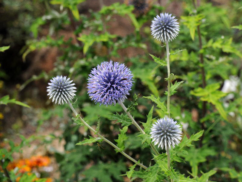 %_tempFileName05-20090711-0621%