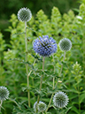 %_tempFileName01-20060709-0160%