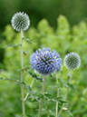 %_tempFileName02-20060709-0161%