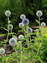 %_tempFileName03-20090628-0385%