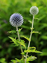 %_tempFileName04-20090628-0386%