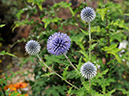 %_tempFileName05-20090711-0621%