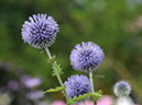 %_tempFileName06-20090711-0622%