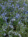 %_tempFileName01-20060416-0247%