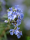 %_tempFileName02-20060416-0344%