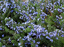 %_tempFileName04-20090329-0299%