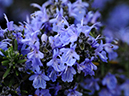 %_tempFileName05-20090329-0300%