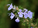 %_tempFileName07-20091025-0211%