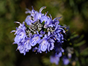 %_tempFileName08-20100404-0019%