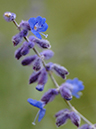 %_tempFileName04-20051113-0411%