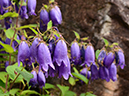%_tempFileName01-20120603-0376%