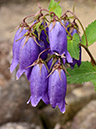 %_tempFileName02-20120603-0377%