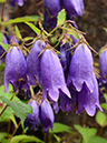 %_tempFileName03-20120603-0376%
