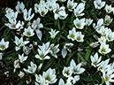 %_tempFileName01-20100111-0493%