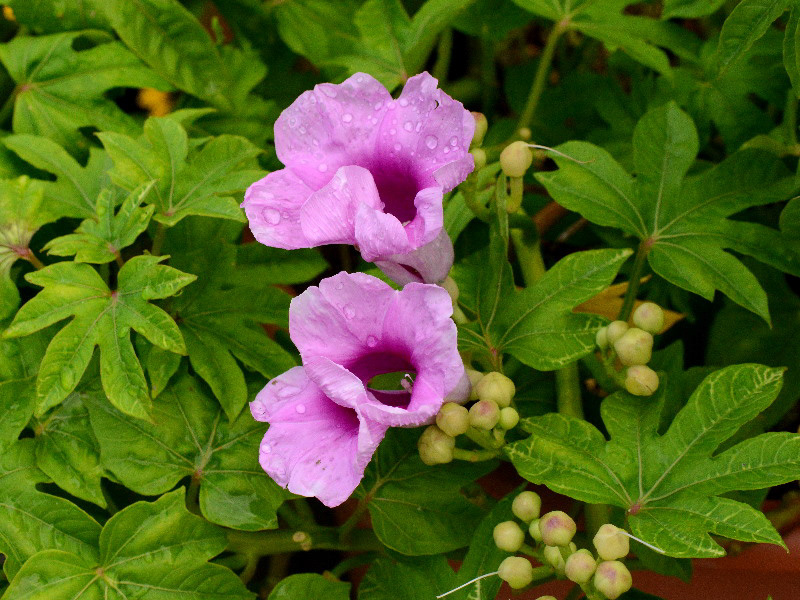 %_tempFileName03-20120902-0176%