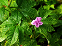 %_tempFileName01-20101121-0256%