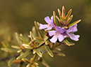 %_tempFileName02-20100313-0275%