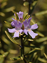 %_tempFileName03-20110505-0814%
