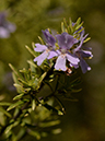 %_tempFileName04-20150505-0255%