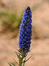 %_tempFileName02-20100509-0278%