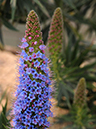 %_tempFileName03-20100509-0280%