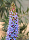 %_tempFileName04-20100509-0281%