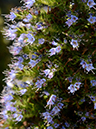 %_tempFileName10-20190626-0235%