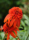 %_tempFileName01-20110626-0159%