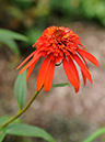 %_tempFileName02-20110626-0160%