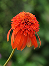 %_tempFileName03-20110626-0161%