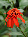 %_tempFileName04-20110626-0164%