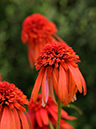 %_tempFileName06-20110703-0289%