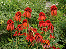 %_tempFileName08-20110703-0291%