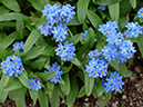 %_tempFileName01-20060416-0317%