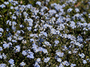 %_tempFileName03-20080506-0316%